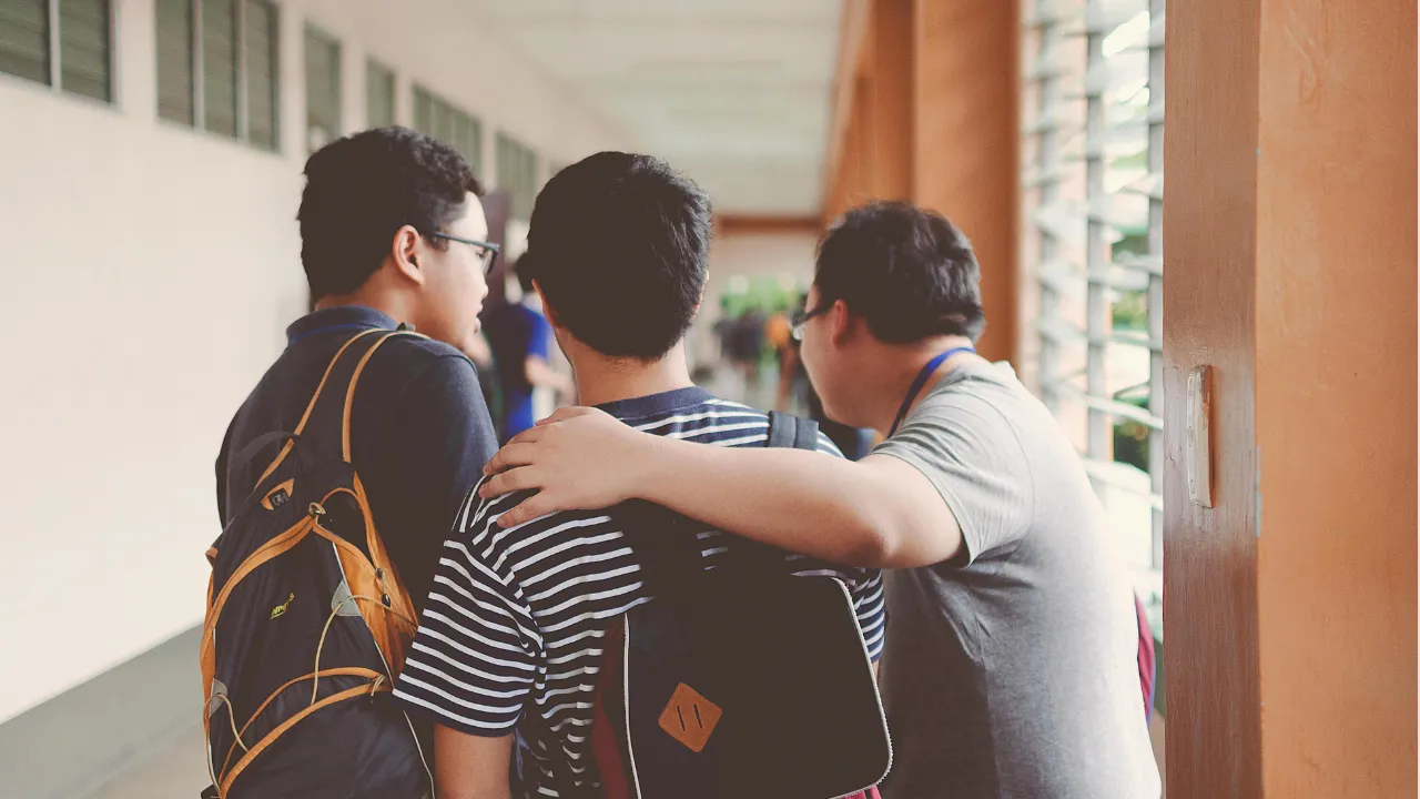 IBPS PO Admit Card 2025 download